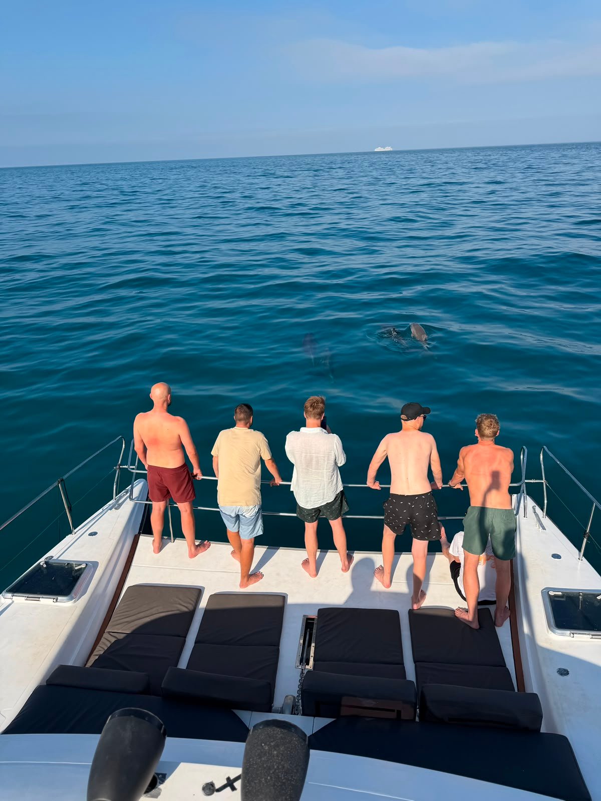 Paseo en Barco Benalm&aacute;dena